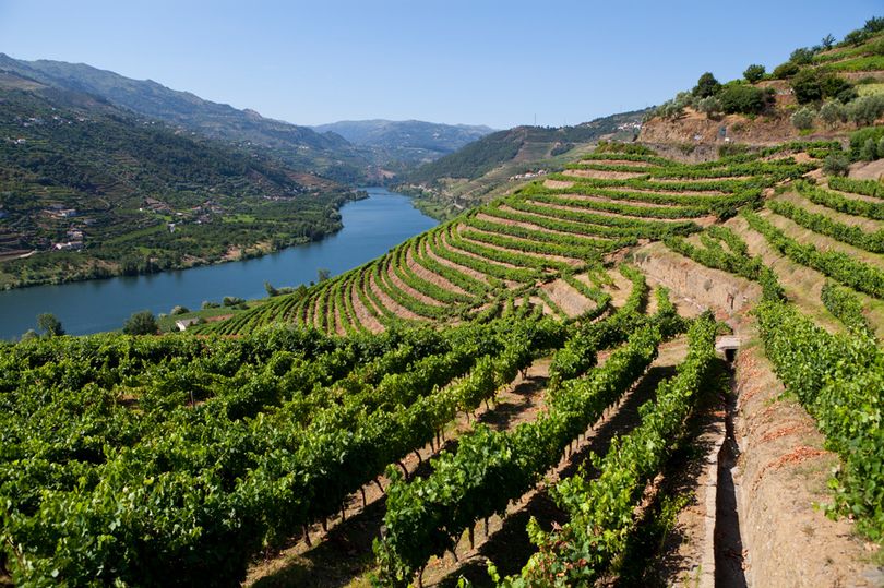 Terraços do Douro, com solo xistoso, são Patrimônio da Humanidade